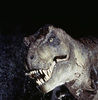 anonymousaurusr